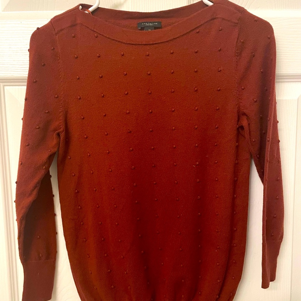 Ann Taylor Rust Dot Sweater